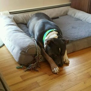 Meet your Posher, Becky